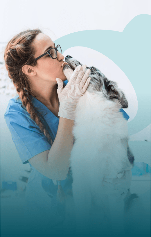 Veterinária com cachorro