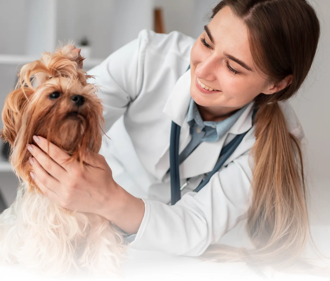 Veterinária sorridente examinando um yorkshire na mesa da clínica