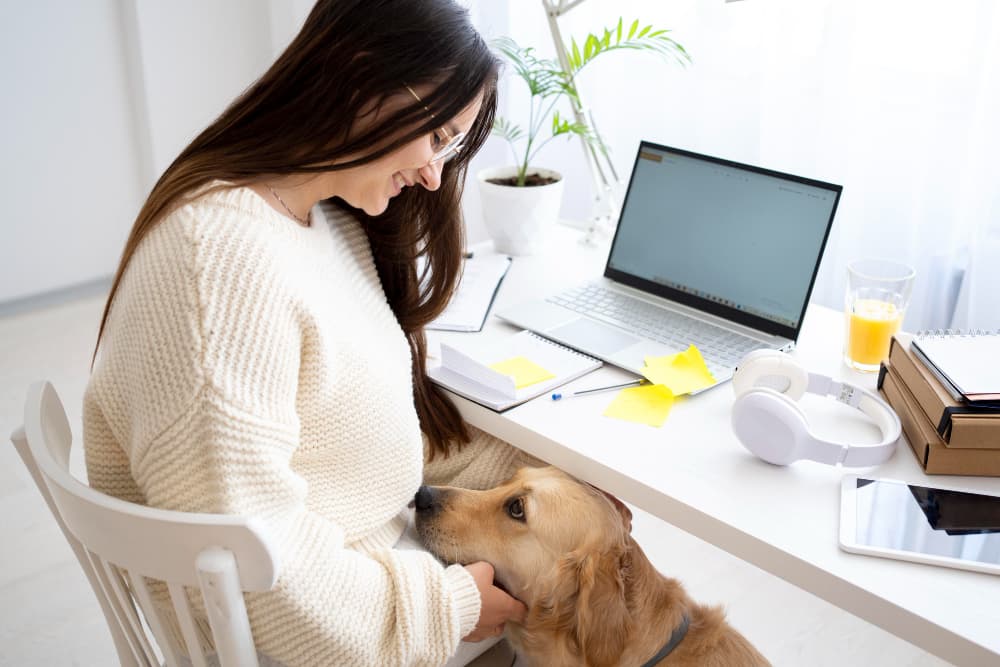 Modelo de vaga para atendente de pet shop: como montar um anúncio que atrai candidatos melhores